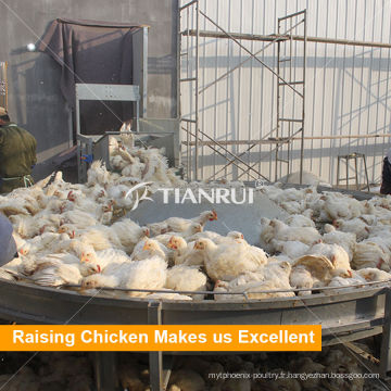 Chine Hot Selling Automatique Automatique Automatique-récolte Équipement de poulet à poulet